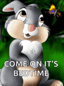 Bedtime Bunny GIF - Bedtime Bunny Disney GIFs