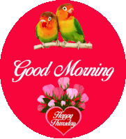 Good Morning Love Birds Sticker - Good Morning Love Birds Happy Thursday Stickers