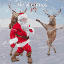 Christmas Santa Claus Reindeer GIF - Christmas Santa Claus Reindeer Christmas GIFs