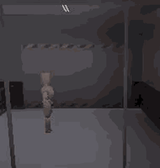 Scp Peanut Gif Scp Peanut Hellas Discover Share Gifs vrogue.co