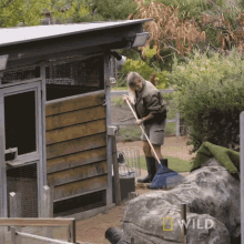 Cleaning National Geographic GIF - Cleaning National Geographic Meet The Bilby Of Taronga Zoo GIFs