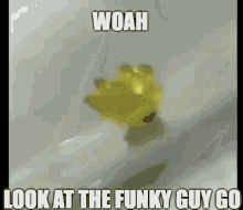Funky Funky Guy GIF - Funky Funky Guy Woah Look At The Funky Guy Go GIFs