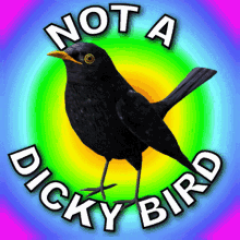 Not A Dicky Bird Not A Word GIF - Not A Dicky Bird Not A Word Silence GIFs
