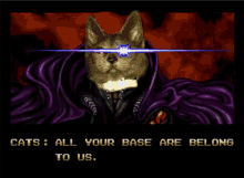 All Your Base Are Belong To Us Cats GIF - All Your Base Are Belong To Us Cats Cat GIFs