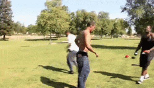 Punch Fight Gif Punch Fight Kick Discover Share Gifs - vrogue.co