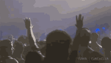 Sway Hands In The Air GIF - Sway Hands In The Air Back And Forth GIFs