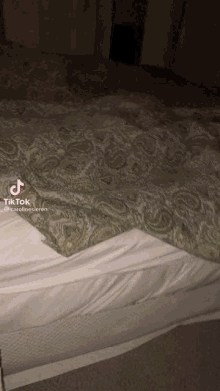 Bed Floppa GIF - Bed Floppa GIFs