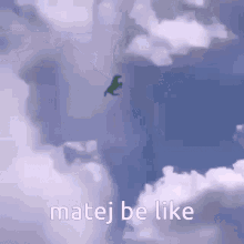 Matej Matej Be Like GIF - Matej Matej Be Like Horse GIFs