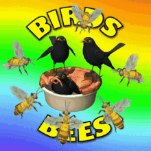 birds and the bees reproduction facts of life sexual relationships how babies are made