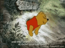 Winnie The Pooh Mr Rabbit GIF - Winnie The Pooh Mr Rabbit If I Dont Stop Eating GIFs