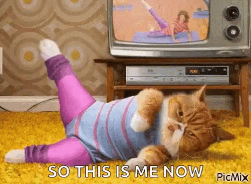 This Is Me Trying To Get Fit GIF - This Is Me Trying To Get Fit Work Out GIFs