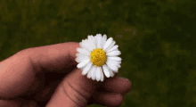 Flower Spinning GIF - Flower Spinning Beautiful GIFs