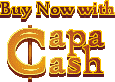 Capca Cash Hypnospace Sticker - Capca Cash Hypnospace Crypto Stickers