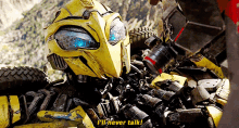 bumblebee ill never talk i wont talk i wont tell you ill never tell you