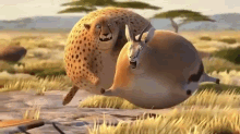 Bounce Back GIF - Cheetah Deer Bloated GIFs