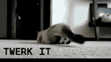 Goo Kitty Goo GIF - Twerk Twerking Kitty GIFs