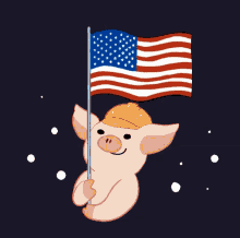 Lihkg Usa GIF - Lihkg Usa Americanflag GIFs