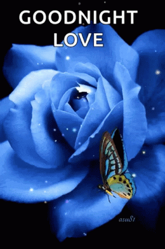 Good Night Love Gif Good Night Love Butterfly Discover Share Gifs