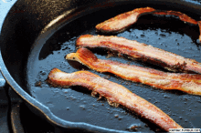 Bacon Food GIF - Bacon Food Breakfast GIFs