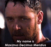 Maximus Decimus GIF - Maximus Decimus Gladiator GIFs