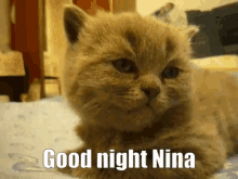 Good Night Good Night Nina GIF - Good Night Good Night Nina Nina GIFs