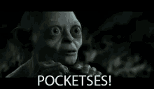 Pocketses GIF - Pocketses GIFs