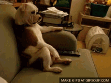 Chillin GIF - Dog Sit Comfortable GIFs