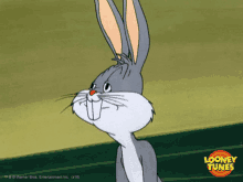 Bugs Bunny Bugs GIF - Bugs Bunny Bugs Nod GIFs