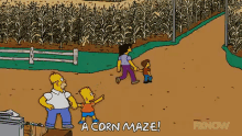 A Corn Maze! GIF - Simpsons Homer Simpson Bart Simpson GIFs