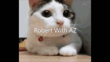 Robert With Az GIF - Robert With Az GIFs