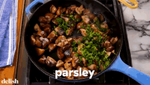 Parsley Mixing GIF - Parsley Mixing Blending GIFs
