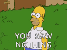 The Simpsons Homer Simpson GIF - The Simpsons Homer Simpson You Saw Nothing GIFs