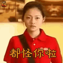 meteor garden da s shan cai blame on you