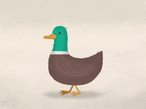 duck-run-quack-flap-animal-animation-bir