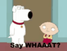 Family Guy Stewie GIF - Family Guy Stewie Griffin GIFs