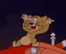 Funny Cat Tom And Jerry GIF - Funny Cat Tom And Jerry Teasing GIFs
