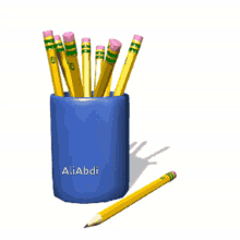 pen pen