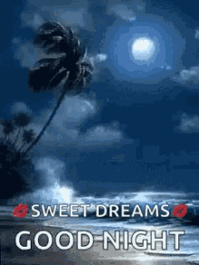 Good Night Sweet Dreams GIF - Good Night Sweet Dreams Ocean GIFs