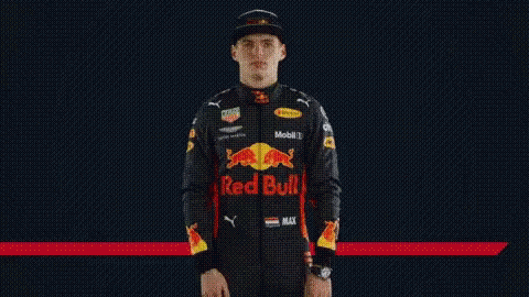 maxverstappen-finished.gif