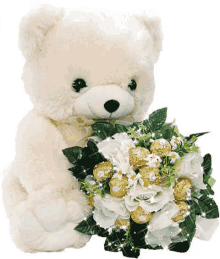 love teddy bear roses