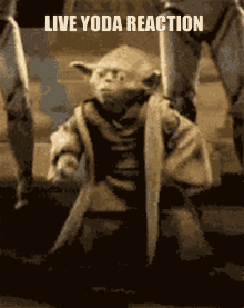 Live Yoda Reaction GIF - Live Yoda Reaction GIFs