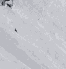 Skiing Meme GIFs | Tenor