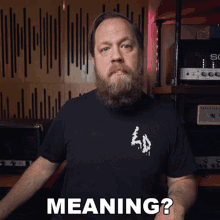 Meaning Ryanfluffbruce GIF - Meaning Ryanfluffbruce Riffs Beards And Gear GIFs