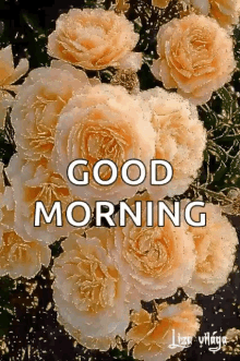 good morning flowers sparkles