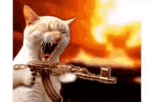Kitty Machine Gun GIF - Kitty Machine Gun Ak45 GIFs