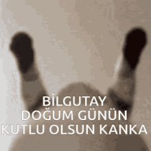 Bilgutay Dogum GIF - Bilgutay Dogum Gunun GIFs