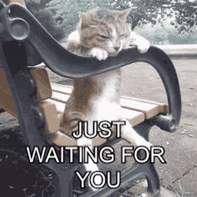 [Image: waiting-waiting-for-you.gif]