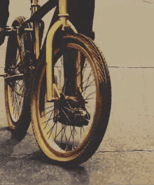 Gold GIF - Golden Bike Ride GIFs