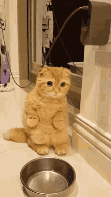 Give Me Some Food Please GIF - Give Me Some Food Please GIFs