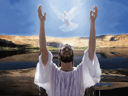 Jesus Dove GIF - Jesus Dove Water Baptism - Discover & Share GIFs